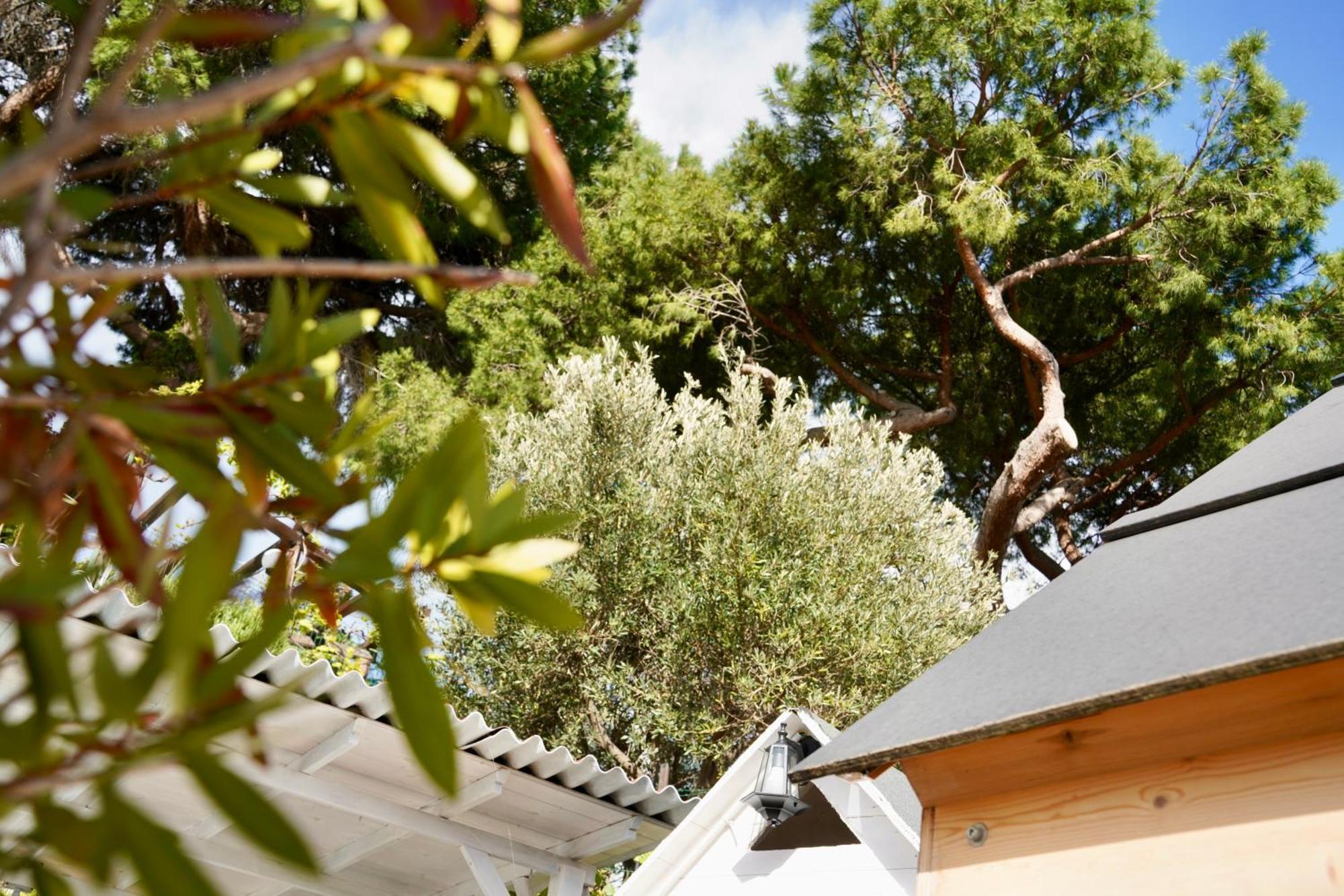 Starsbox Jacuzzi Privata E Piscina Vista Mare Hotel Celle Ligure Exterior foto
