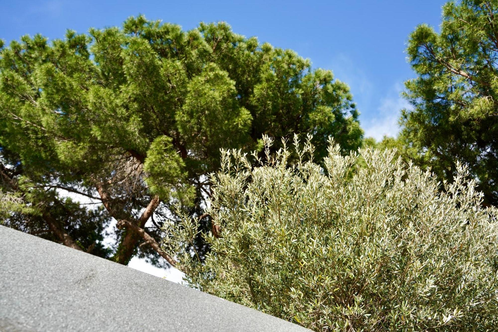 Starsbox Jacuzzi Privata E Piscina Vista Mare Hotel Celle Ligure Exterior foto
